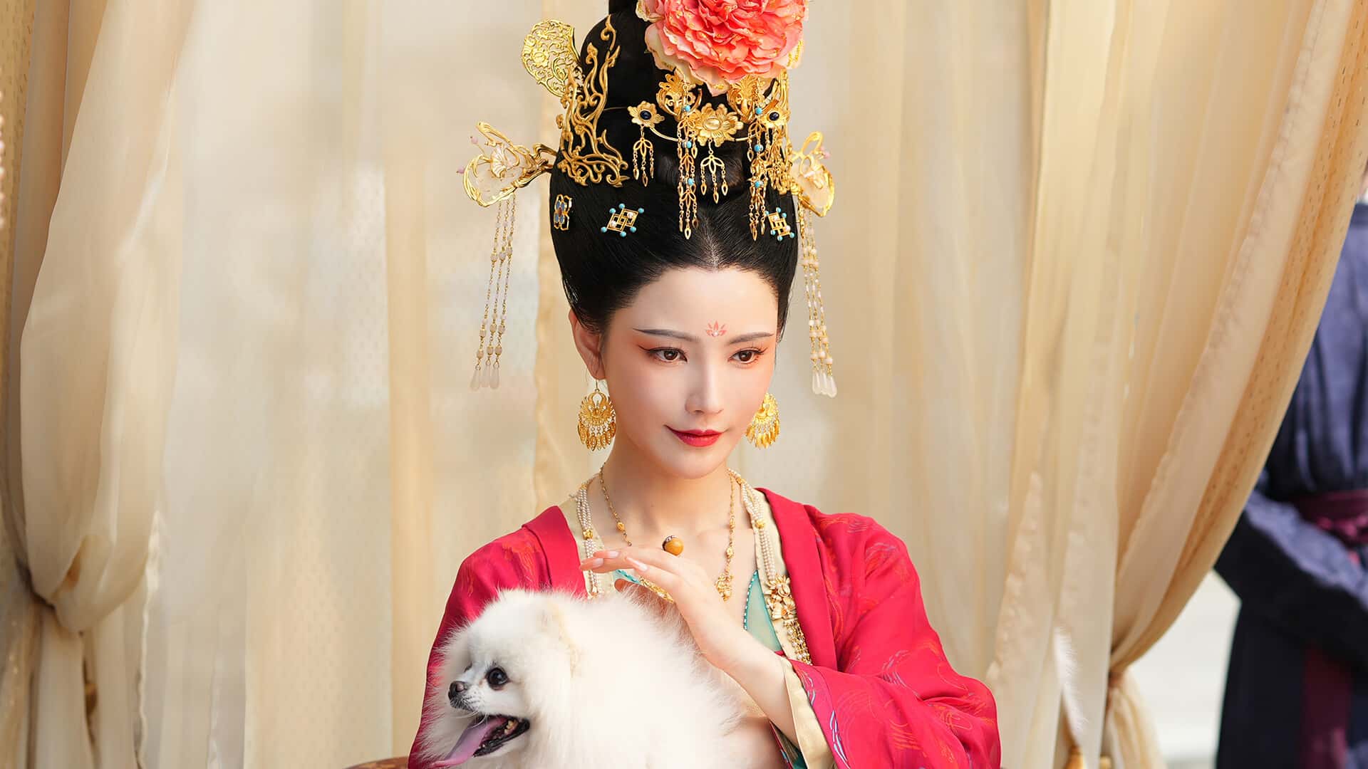 视觉数据4